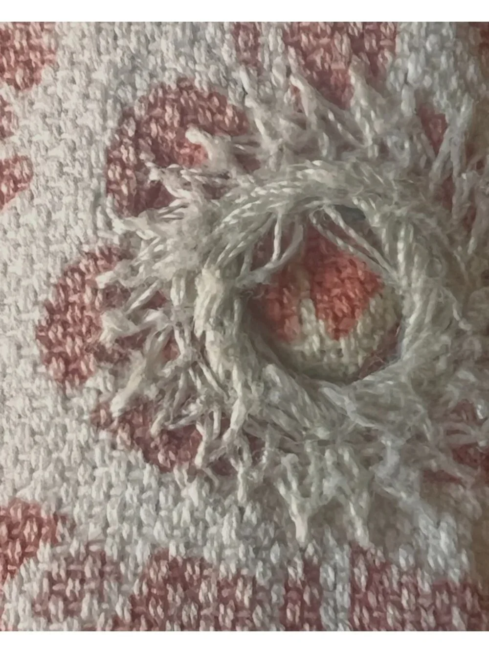 Pottery Barn Pillow Sham Pair Paisley Print Cotton Peach & Cream 24